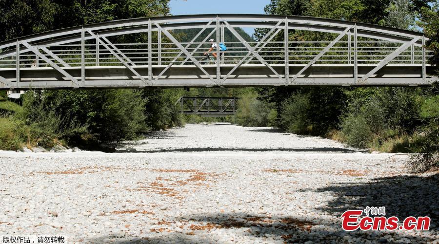 A man cycles during hot summer weather on a bridge crossing over the dried river bed of the Toess river near the village of Wila, Switzerland, August 9, 2018. (Photo/Agencies)