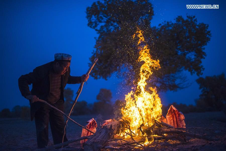 A villager bakes fish in Bachu County, northwest China\'s Xinjiang Uygur Autonomous Region, Nov. 5, 2017. (Xinhua/Jiang Wenyao)