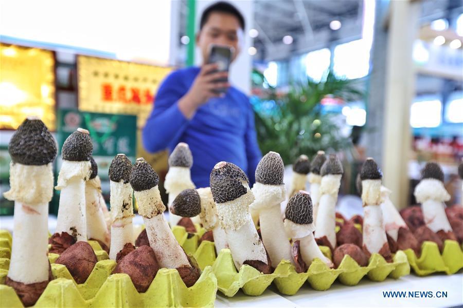 People visit a farmland products fair in Guiyang, capital of southwest China\'s Guizhou Province, Aug. 9, 2018. The five-day fair kicked off on Thursday. (Xinhua/Liu Xu)
