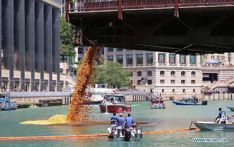 Rubber ducks are dropped into the Chicago River during the 13th Annual Chicago Ducky Derby in Chicago, the United States, Aug. 9, 2018. Derby organizers dropped about 60,000 rubber ducks into the Chicago river on Thursday to start the Rubber Ducky Derby this year, which helps raise money for Special Olympics Illinois. (Xinhua/Wang Ping)