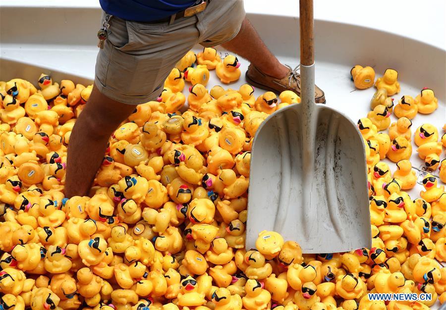 A volunteer recovers rubber ducks from the Chicago River following the 13th Annual Chicago Ducky Derby in Chicago, the United States, Aug. 9, 2018. Derby organizers dropped about 60,000 rubber ducks into the Chicago river on Thursday to start the Rubber Ducky Derby this year, which helps raise money for Special Olympics Illinois. (Xinhua/Wang Ping)