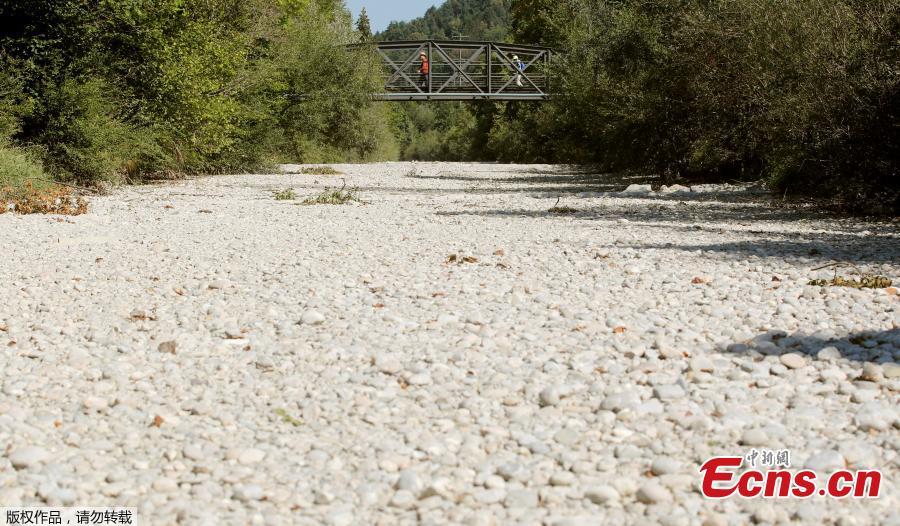 People walk over a bridge crossing the dried river bed of the Toess river near the village of Wila, Switzerland, August 9, 2018. (Photo/Agencies)