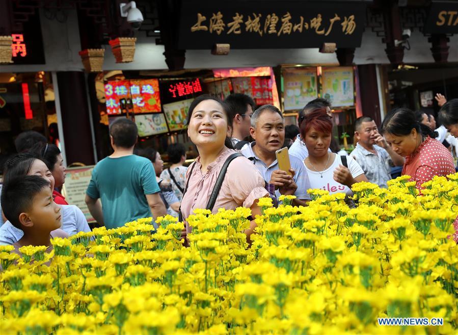 A scene of Luoping cole flower field is seen at the Yunnan folk art exhibition at Yuyuan Garden in east China\'s Shanghai, Aug. 10, 2018. The exhibition kicked off here on Friday and shows folk dances, local artwares and scenery from Qujing City of Yunnan Province. (Xinhua/Liu Ying)