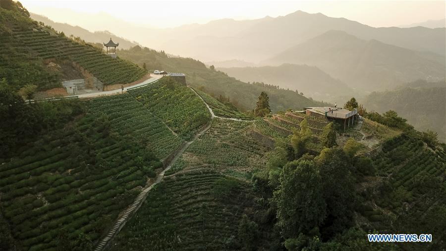 Aerial photo taken on Aug. 10, 2018 shows scenery at dawn in Shitan Village, Shexian County, east China\'s Anhui Province. (Xinhua/Zhang Duan)
