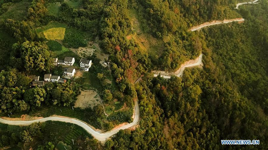 Aerial photo taken on Aug. 10, 2018 shows scenery at dawn in Shitan Village, Shexian County, east China\'s Anhui Province. (Xinhua/Zhang Duan)