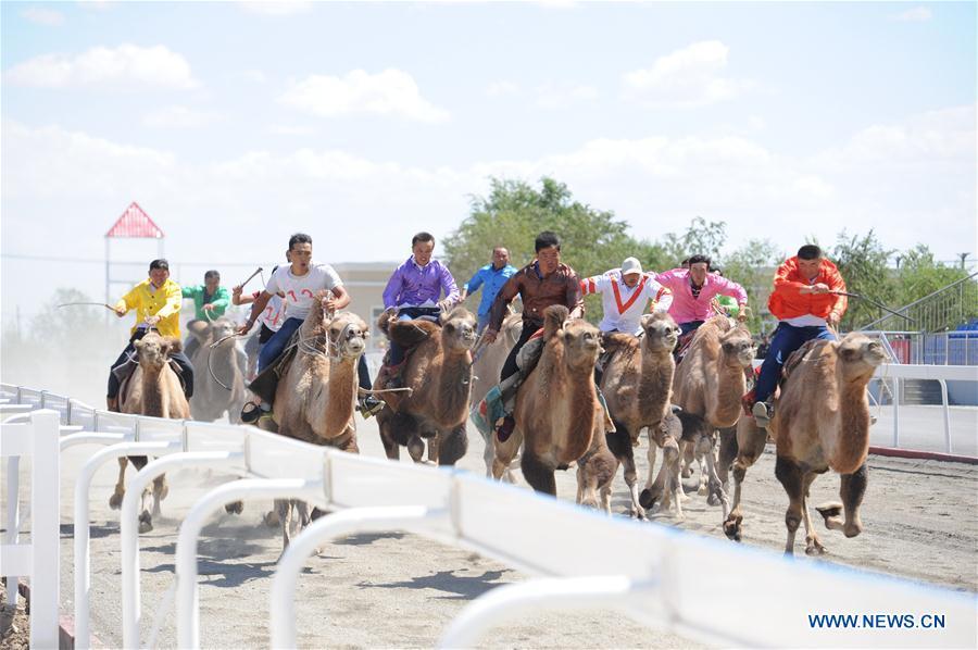 Contestants take part in a camel competition during a folk custom tourism festival held in the Kazak Autonomous County of Mori in northwest China\'s Xinjiang Uygur Autonomous Region, Aug. 11, 2018. The two-day festival opened here on Saturday. (Xinhua/Sadat)
