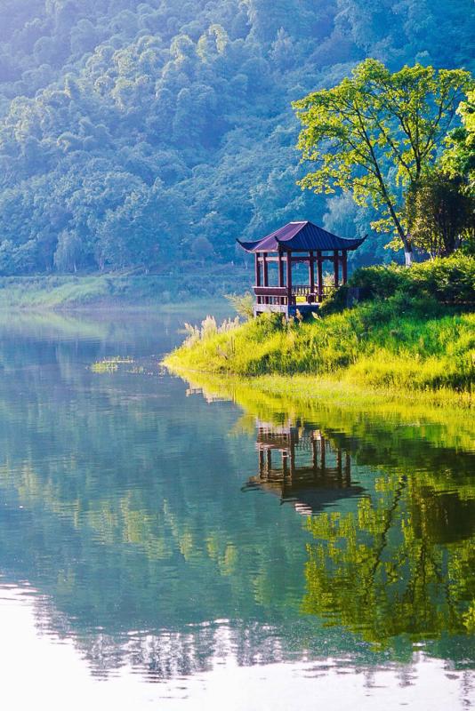 Scenery of Guyu Lake in Longchang city, southeast of Sichuan Province, in early August. (Photo/China Daily)

Tang, who can serve 400 people at a time, has employed 11 locals, each of whom receives a salary of 2,000-5,000 yuan a month.

Like Tang, many other locals are also engaged in the tourism business with homestays and boating facilities.

For now, there are approximately 40 sightseeing boats. And a total of 100 beds are available for those who want to spend the night.

Meanwhile, the local government is planning to further develop the area. And a water town costing 3 billion yuan - a few hundred meters to the south of the lake - is to be set up within five years.

\