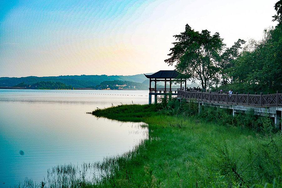 Scenery of Guyu Lake in Longchang city, southeast of Sichuan Province, in early August. (Photo/China Daily)

Its depth is 15 meters on average, going up to 27 meters at its deepest point.

Guyu Lake came into being when the local government decided to draw water from the Tuojiang river, one of the tributaries of the Yangtze River, back in the 1970s.

Then, Longchang was short of water, because it is at a higher level than the surrounding areas, and it did not have any big rivers or lakes.

\