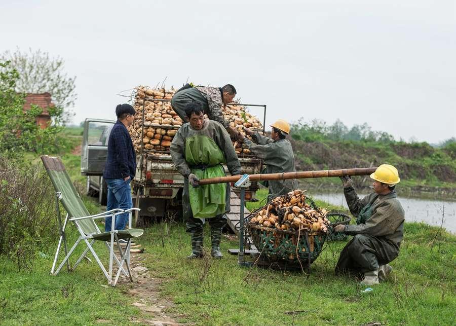 Zhou has donated 800,000 yuan out of her own pocket for the protection drive. (Photo by Zhou Haiyan/for China Daily)

\