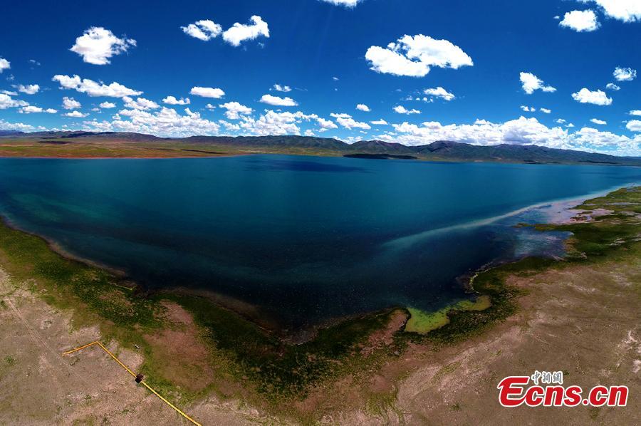 A photo taken by a drone shows a stunning view of Alag Lake in Dulan County, Northwest China’s Qinghai Province. The lake, with an average elevation of 4,099 meters, is a major inland lake in the upper reaches of the Qaidam River and also an important habitat for wildlife. The river channels formed by the melting of snow and ice in the mountains creates spectacular scenes. (Photo: China News Service/Dai Chun)
