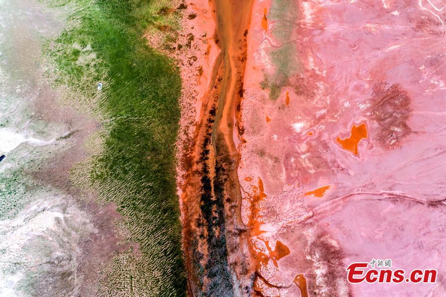 A photo taken by a drone shows a stunning view of Alag Lake in Dulan County, Northwest China’s Qinghai Province. The lake, with an average elevation of 4,099 meters, is a major inland lake in the upper reaches of the Qaidam River and also an important habitat for wildlife. The river channels formed by the melting of snow and ice in the mountains creates spectacular scenes. (Photo: China News Service/Chai Diecheng)