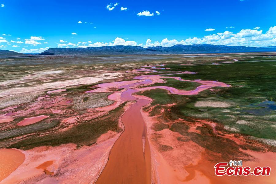 A photo taken by a drone shows a stunning view of Alag Lake in Dulan County, Northwest China’s Qinghai Province. The lake, with an average elevation of 4,099 meters, is a major inland lake in the upper reaches of the Qaidam River and also an important habitat for wildlife. The river channels formed by the melting of snow and ice in the mountains creates spectacular scenes. (Photo: China News Service/Chai Dicheng)