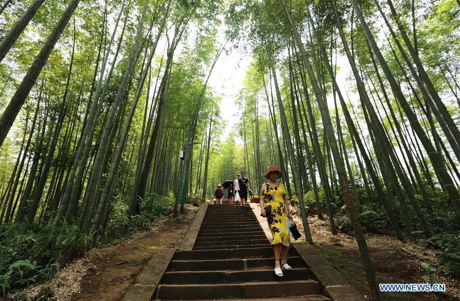 Tourists visit the Zhuhai state forest park in Chishui City, southwest China\'s Guizhou Province, Aug. 13, 2018. (Xinhua/Wang Changyu)