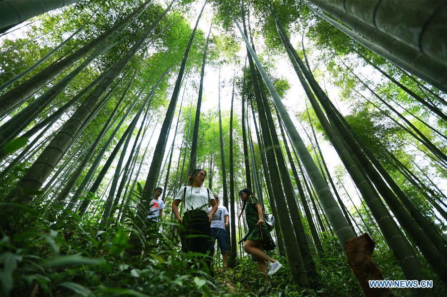 Tourists visit the Zhuhai state forest park in Chishui City, southwest China\'s Guizhou Province, Aug. 13, 2018. (Xinhua/Wang Changyu)