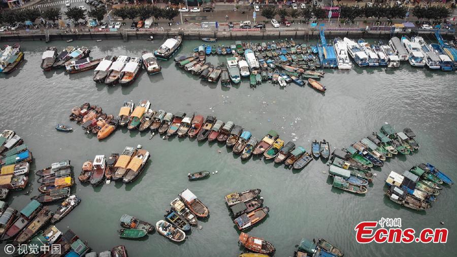 Fishing vessels anchor at a port ahead of Tropical Storm Bebinca in Yangjiang City, South China\'s Guangdong Province, Aug. 14, 2018. Locals fastened the boats to prepare for the strong winds expected with the storm. (Photo/VCG)