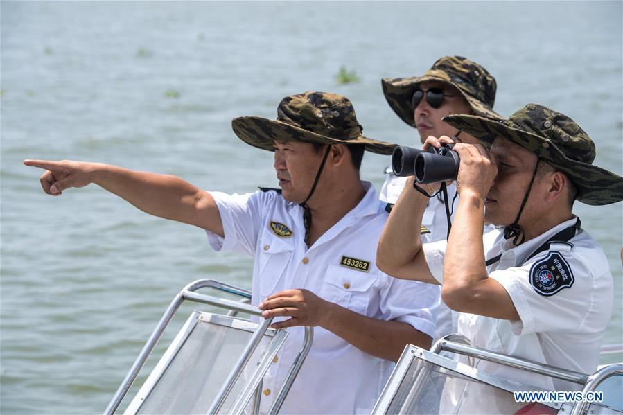 Staff members of the Xiaogang lake-patroller station observe the Honghu Lake in Honghu City, central China\'s Hubei Province, Aug. 15, 2018. Honghu Lake, Hubei Province\'s biggest lake, is \