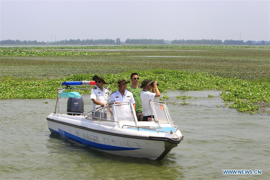 Staff members of the Xiaogang lake-patroller station patrol the Honghu Lake in Honghu City, central China\'s Hubei Province, Aug. 15, 2018. Honghu Lake, Hubei Province\'s biggest lake, is \