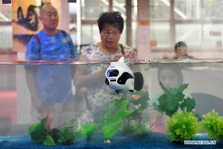 Visitors look at a bionic underwater photographic robot at World Robot Conference 2018 in Beijing, capital of China, Aug. 15, 2018. Kicking off on Wednesday, the conference attracted more than 160 domestic and international corporations exhibiting their cutting-edge products in the robotics industry. (Xinhua/Li Xin)