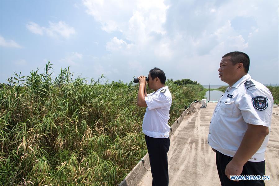 Staff members of the Xiaogang lake-patroller station observe the Honghu Lake in Honghu City, central China\'s Hubei Province, Aug. 15, 2018. Honghu Lake, Hubei Province\'s biggest lake, is \