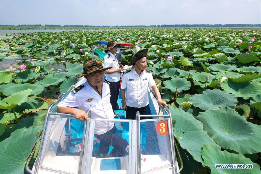 Staff members of the Xiaogang lake-patroller station patrol the Honghu Lake in Honghu City, central China\'s Hubei Province, Aug. 15, 2018. Honghu Lake, Hubei Province\'s biggest lake, is \