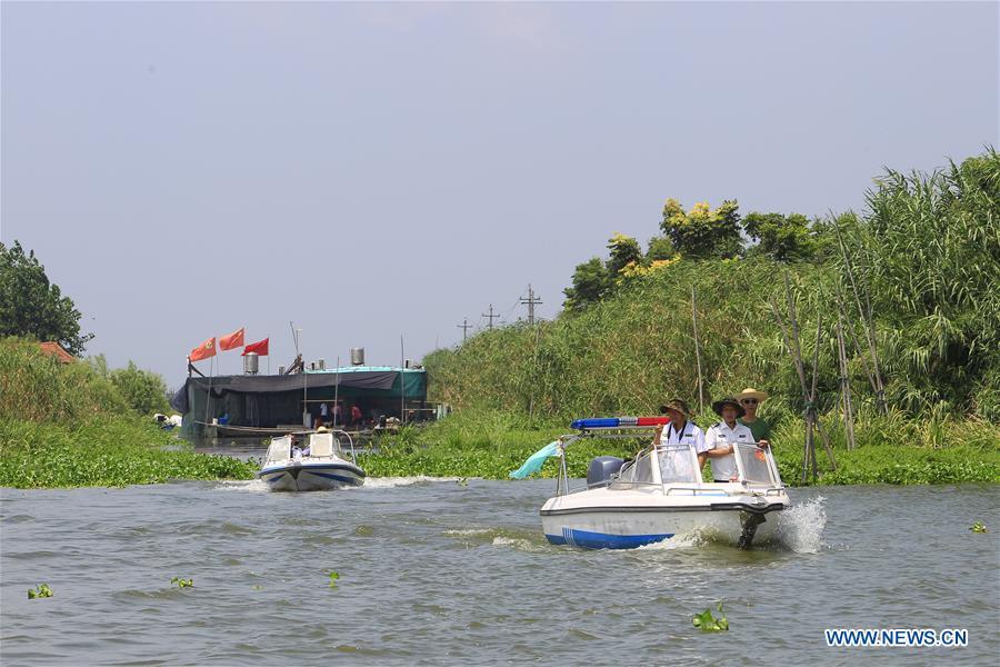 Staff members of the Xiaogang lake-patroller station patrol the Honghu Lake in Honghu City, central China\'s Hubei Province, Aug. 15, 2018. Honghu Lake, Hubei Province\'s biggest lake, is \
