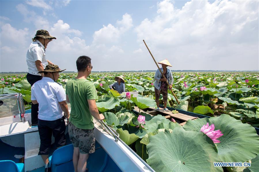 Staff members of the Xiaogang lake-patroller station patrol the Honghu Lake in Honghu City, central China\'s Hubei Province, Aug. 15, 2018. Honghu Lake, Hubei Province\'s biggest lake, is \