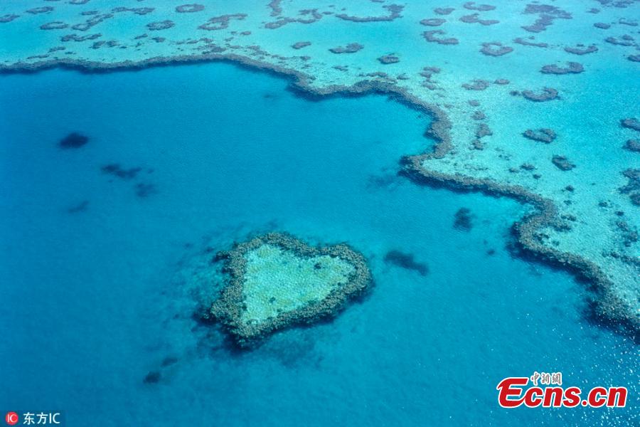 File photo shows a heart-shaped reef in Whitsundays, Australia.  (Photo/IC)