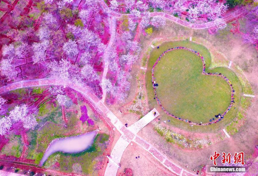 File photo shows a piece of heart-shaped lawn in Nanchang, Jiangxi Province. Take a look at these awesome hearts found in the nature as today is China\'s Qixi Festival, or Chinese Valentine\'s Day. It is always the seventh day of the seventh month on the lunar calendar.  (Photo/IC)