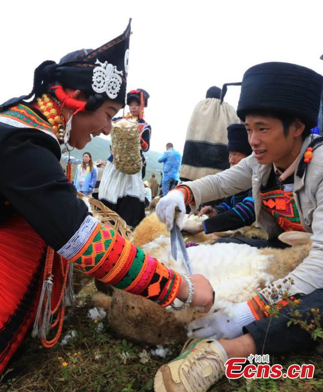 The opening ceremony of a sheep-shearing festival by the Yi people has been held in Meigu County, Southwest China\'s Sichuan Province. The Yi usually chose an auspicious day between late July and early August to hold the grand festival, which also includes sheep fighting, wrestling and horse racing. (Photo/China News Service)
