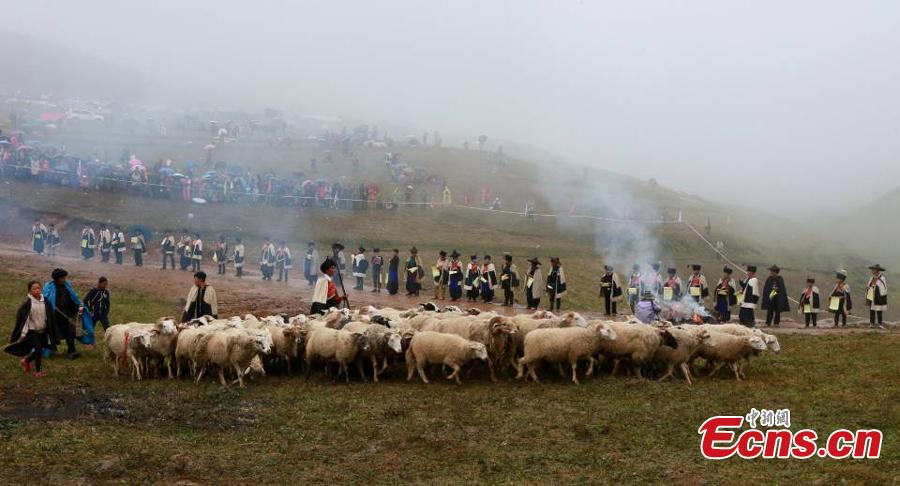 The opening ceremony of a sheep-shearing festival by the Yi people has been held in Meigu County, Southwest China\'s Sichuan Province. The Yi usually chose an auspicious day between late July and early August to hold the grand festival, which also includes sheep fighting, wrestling and horse racing. (Photo/China News Service)