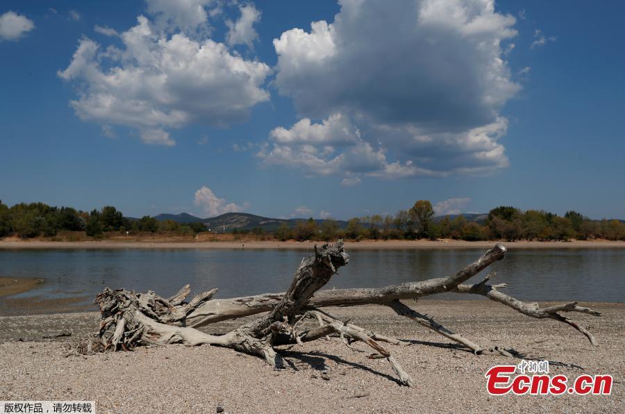 Alluvial wood lies on a gravel shoal in the middle of the Danube river during the period of low water level near Esztergom, Hungary, August 19, 2018. (Photo/Agencies)