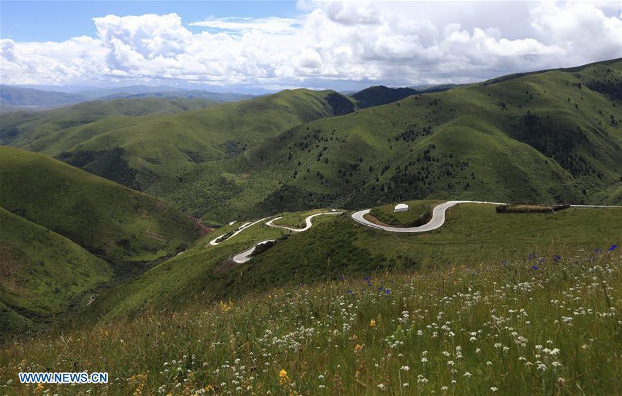 Aerial photo taken on Aug. 20, 2018 shows the view of Shangnan highway in Rangtang County, southwest China\'s Sichuan Province. At an altitude of over 3,000 meters, the nearly-40-kilometer Shangnan highway is a major road in the county which served a key role in shaking off poverty for local Tibetan herdsmen. (Xinhua/Jiang Hongjing)
