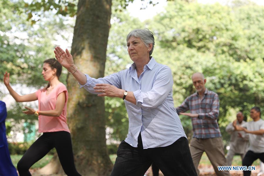 People learn Tai Chi at the Cinquantenaire park in Brussels, Belgium, Aug. 21, 2018. Every Tuesday and Friday afternoon, free Chinese Tai Chi class is held here and it attracts many local residents in Brussels. (Xinhua/Zheng Huansong)