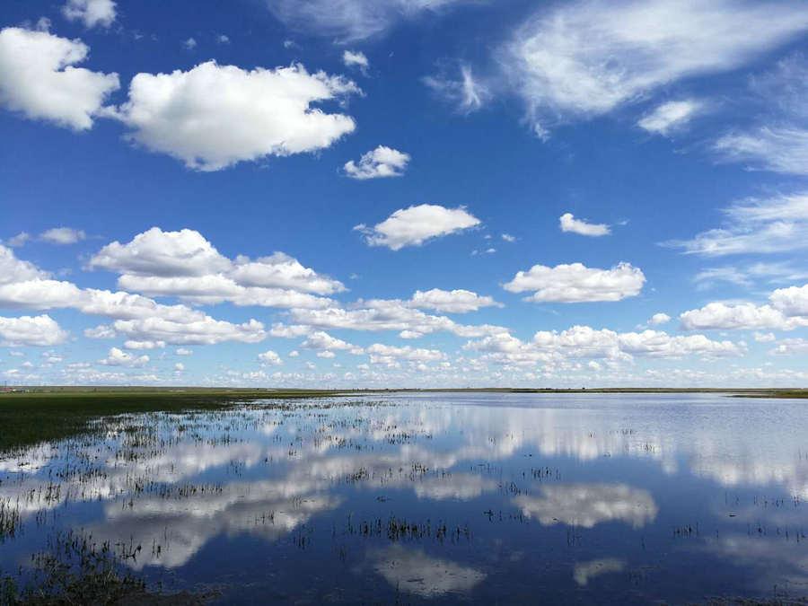 An azure sky and clouds in Hulunbeier, North China\'s Inner Mongolia autonomous region, on Aug 22, 2019.  (Photo provided to chinadaily.com.cn)