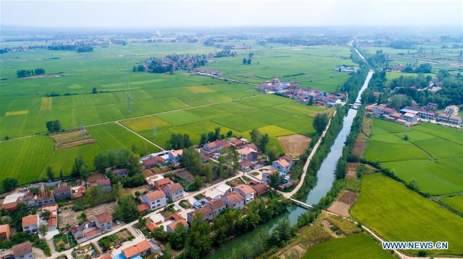 Aerial photo taken on Aug. 22, 2018 shows a section of Changqu Canal in Xiangyang, central China\'s Hubei Province. The Changqu Canal has been added to the World Heritage Irrigation Structures list by the International Commission on Irrigation and Drainage (ICID) recently. (Xinhua/Xiong Qi)