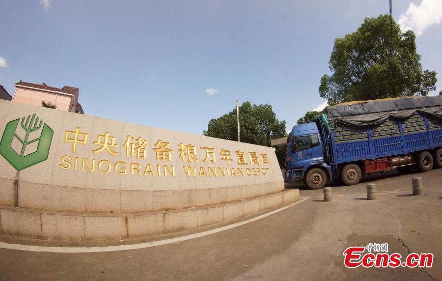 Photo taken on Aug. 23, 2018 shows farmers selling their newly harvested rice at the Sinograin Wannian Depot in Wannnian County, East China’s Jiangxi Province. (Photo: China News Service/Wang Haoyang)