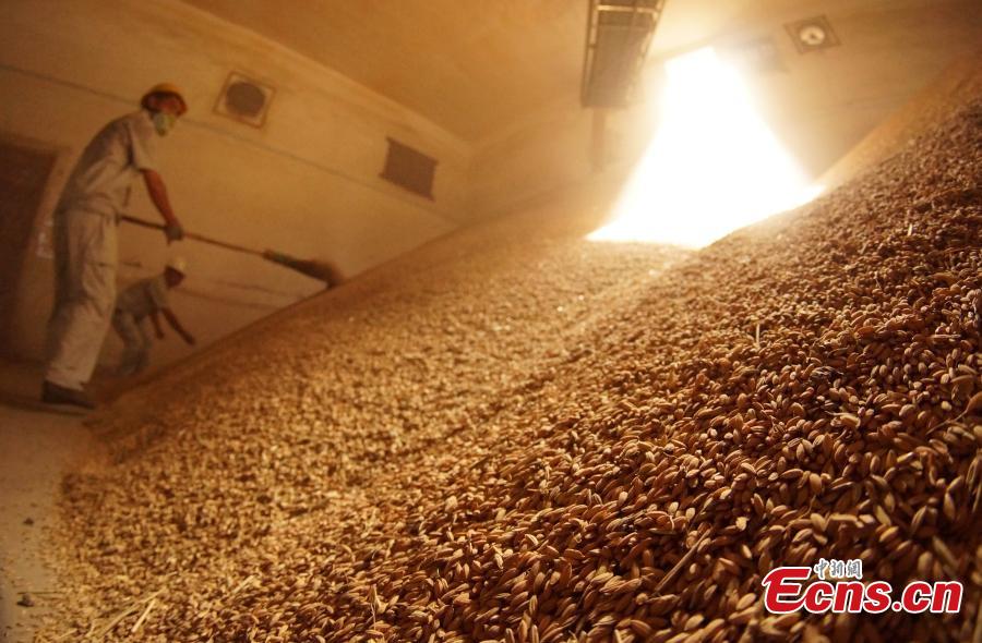 Photo taken on Aug. 23, 2018 shows farmers selling their newly harvested rice at the Sinograin Wannian Depot in Wannnian County, East China’s Jiangxi Province. (Photo: China News Service/Wang Haoyang)