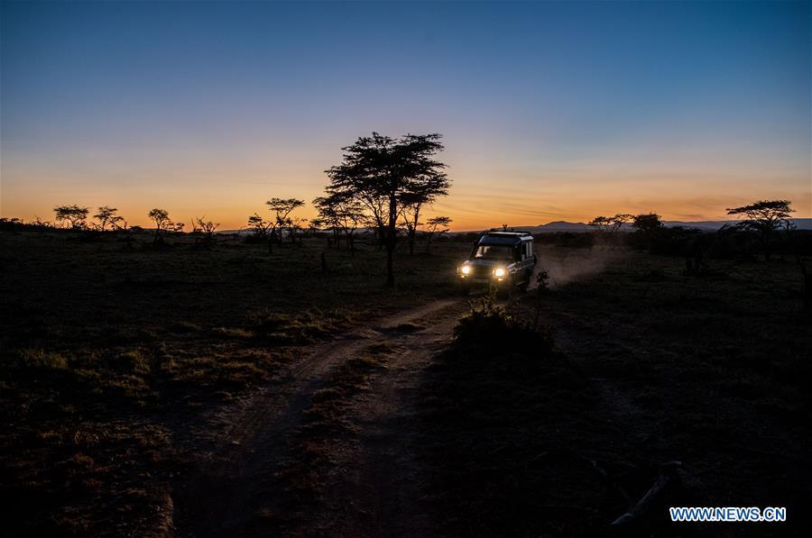 Chinese wildlife conservationist Zhuo Qiang and a local warden set off early in the morning to check the Ol Kinyei conservancy in Maasai Mara, Kenya, July 7, 2018. The founder and Chairman of Mara Conservation Fund (MCF) Zhuo Qiang, a 45-year-old Chinese, has pioneered outstanding wildlife conservation projects in the world famous Maasai Mara ecosystem. Ol Kinyei is among the conservancies benefiting from his activities. Around it, he has built three lion proof boas preventing the wildlife conflict with the adjacent communities. He was officially adopted as a son of the Maasai\'s Ol Kinyei conservation group in 2015, owing to his unwavering friendship with the pastoralists. Zhuo\'s anti-poaching drives in the East African nation expresses the increasing collaboration between Kenyan and China in ending the killing of rhinos, elephants and lions. (Xinhua/Lyu Shuai)
