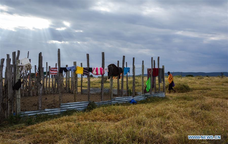 A man walks past lion proof fence built by Mara Conservation Fund (MCF) founded by Chinese wildlife conservationist Zhuo Qiang in Maasai Mara, Kenya, July 6, 2018. The founder and Chairman of Mara Conservation Fund (MCF) Zhuo Qiang, a 45-year-old Chinese, has pioneered outstanding wildlife conservation projects in the world famous Maasai Mara ecosystem. Ol Kinyei is among the conservancies benefiting from his activities. Around it, he has built three lion proof boas preventing the wildlife conflict with the adjacent communities. He was officially adopted as a son of the Maasai\'s Ol Kinyei conservation group in 2015, owing to his unwavering friendship with the pastoralists. Zhuo\'s anti-poaching drives in the East African nation expresses the increasing collaboration between Kenyan and China in ending the killing of rhinos, elephants and lions. (Xinhua/Lyu Shuai)