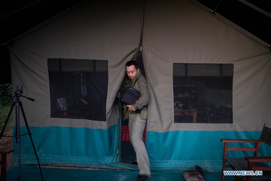 Chinese wildlife conservationist Zhuo Qiang rushes out of his camp as he hears lions roaring at Ol Kinyei conservancy in Maasai Mara, Kenya, July 7, 2018. The founder and Chairman of Mara Conservation Fund (MCF) Zhuo Qiang, a 45-year-old Chinese, has pioneered outstanding wildlife conservation projects in the world famous Maasai Mara ecosystem. Ol Kinyei is among the conservancies benefiting from his activities. Around it, he has built three lion proof boas preventing the wildlife conflict with the adjacent communities. He was officially adopted as a son of the Maasai\'s Ol Kinyei conservation group in 2015, owing to his unwavering friendship with the pastoralists. Zhuo\'s anti-poaching drives in the East African nation expresses the increasing collaboration between Kenyan and China in ending the killing of rhinos, elephants and lions. (Xinhua/Lyu Shuai)