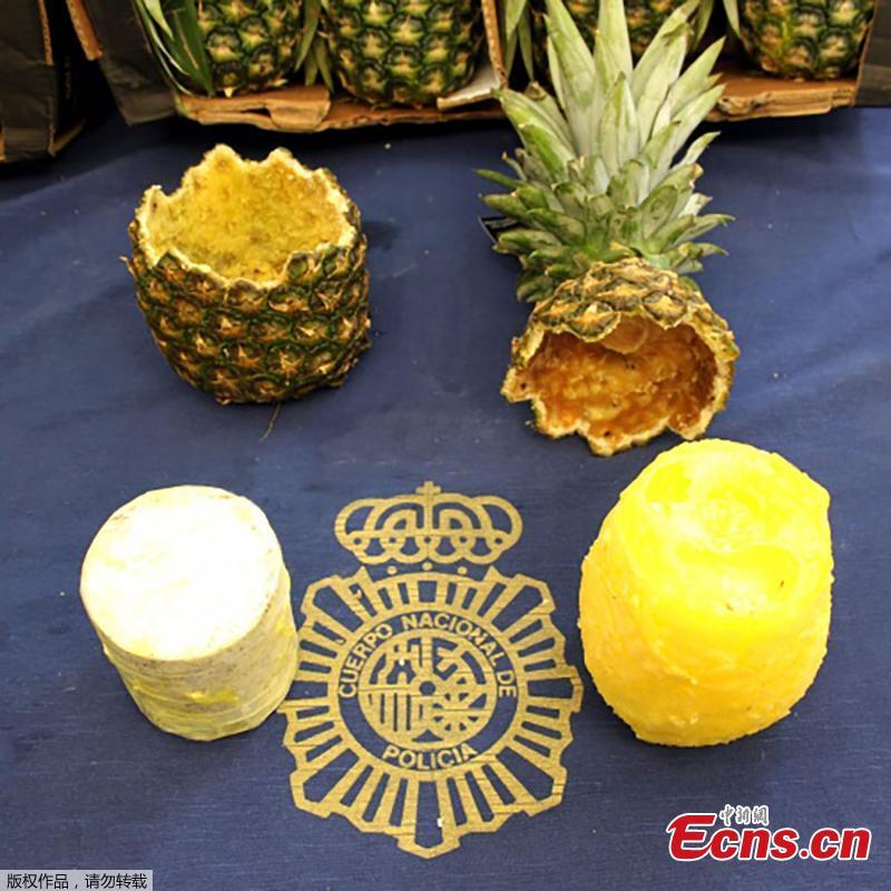 Spanish police have seized 67 kilograms (148 pounds) of cocaine found inside hollowed-out pineapples discovered at Madrid\'s main fruit and vegetable market. Dozens of drug-stuffed fruits were seized at the sprawling Mercamadrid market among a shipment of pineapples that arrived in the Portuguese port of Setubal by ship from Costa Rica. The fruits, believed to have a street value of almost ?250,000, are said to have then been transported overland to the Spanish capital. (Photo/Agencies)