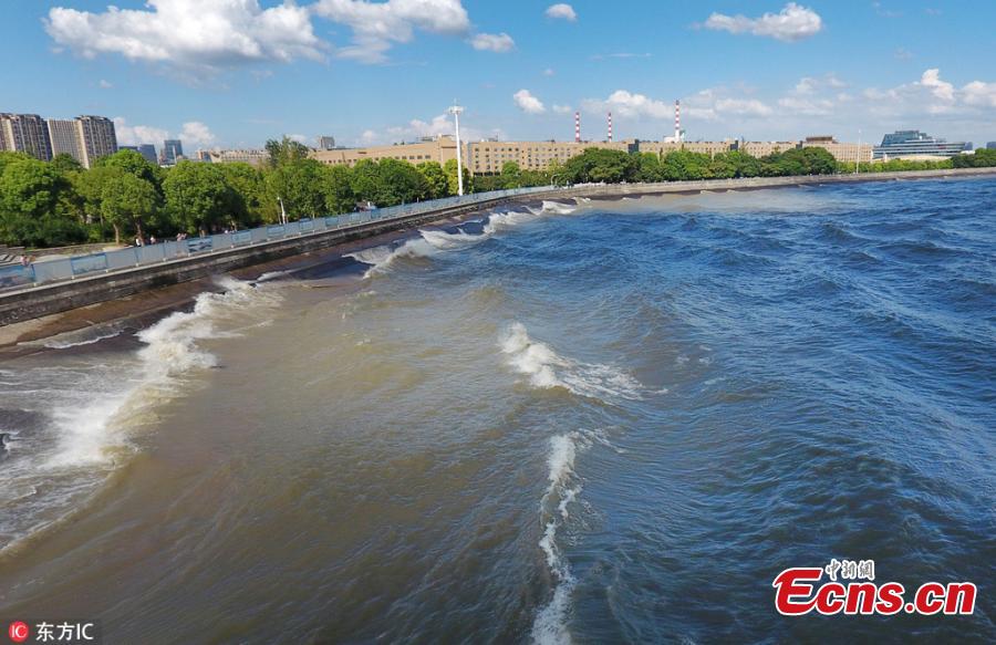 Waves surge in the Qiantang River in Hangzhou City, East China’s Zhejiang Province, Aug. 28, 2018.  High tides produced high waves in the Qiantang River on the eighteenth day of the seventh lunar month, on Aug. 28 this year. (Photo/IC)