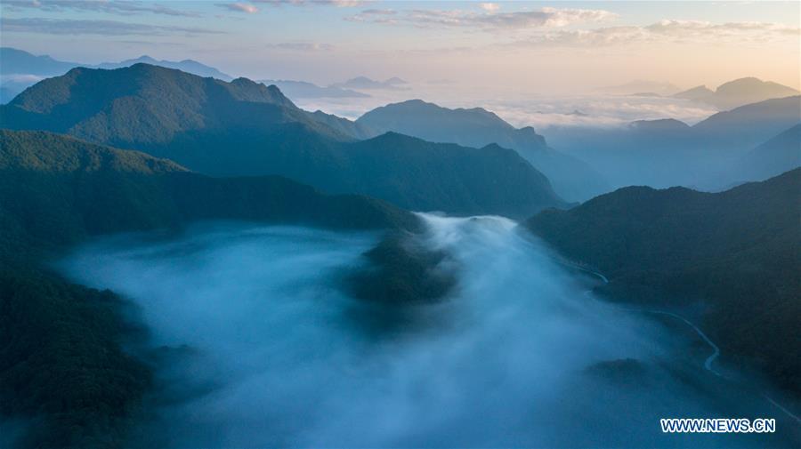 Photo taken on Aug. 24, 2018 shows the scenery of Dajiuhu National Wetland Park in Shennongjia, central China\'s Hubei Province. (Xinhua/Zhang Hongbin)