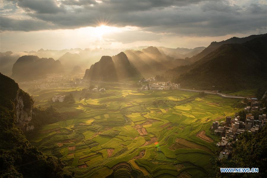 Photo taken on Aug. 29, 2018 shows the terraced fields surrounded by mountains in Simeng Township of Donglan County in Hechi, south China\'s Guangxi Zhuang Autonomous Region. (Xinhua/Ma Fangkang)