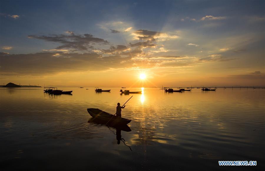 A fisherman rows a boat in Jishan water area of Poyang Lake in Duchang County, east China\'s Jiangxi Province, Aug. 28, 2018. (Xinhua/Fu Jianbin)