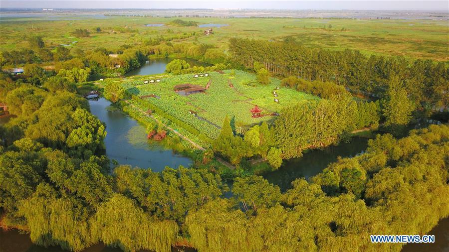 Aerial photo taken on Sept. 1, 2018 shows an early autumn scenery of the Hongze Lake wetland in Sihong County, east China\'s Jiangsu Province. (Xinhua/Xu Congjun)