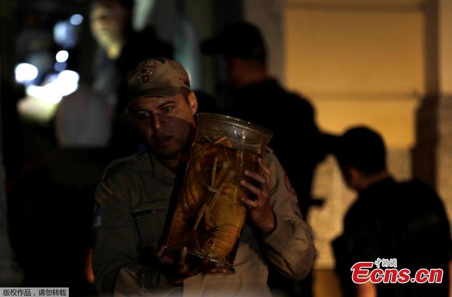 A firefighter rescues items during a fire at the National Museum of Brazil in Rio de Janeiro, Brazil September 2, 2018. (Photo/Agencies)