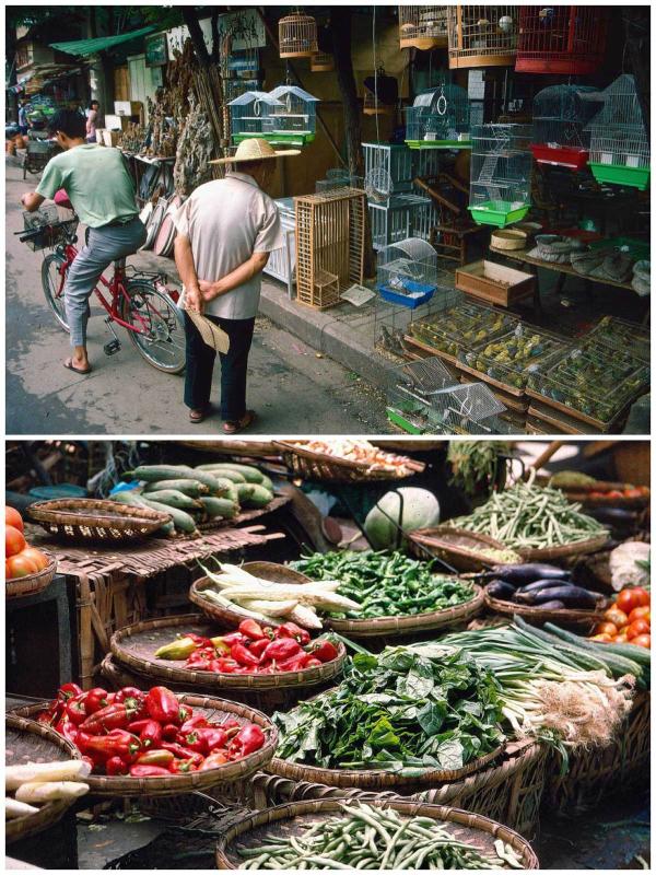 Bird market. Vegetable stall Chengdu 2017 (Photo by Bruce Connolly/chinadaily.com.cn)

In 1994 Chengdu seemed so different to Beijing where for several days I had been living within a hutong community at Beixinqiao. Walking south along Renmin Road everything initially felt much wider, straighter and higher than older Beijing, but I would soon also discover older Chengdu.

Chengdu in the 1990s was a destination/starting point for international travelers wanting to discover China away from the major cities. Then, the only scheduled flights to Lhasa were two daily morning services from Chengdu. The city was also a starting point for an adventurous journey to Lijiang in Yunnan - first by train to Panzhihua followed by a lengthy bus ride along mountainous roads. A consequence was the relatively inexpensive travelers’ hostels and cafes along the Jinjiang River. These were good places for swapping information with fellow adventurers while partaking a range of comfort foods to fortify oneself before setting out on more travels.