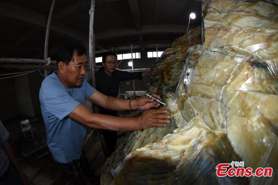 A view of a single, 118-ton jade rock in Xiuyan Manchu Autonomous County, Liaoning Province, Sept. 5, 2018. Chinese artists have started creating the world’s largest jade sculpture of the Great Wall, made from the boulder, which measures 6.5 meters long, three meters high and four meters wide, with the largest diameter 17 meters. The rock has a 98 percent jade content, three times higher than that usually found in jade rocks. The sculpture is set to be completed in one year, in time for National Day on Oct. 1, 2019. (Photo: China News Service/Sun Zifa)