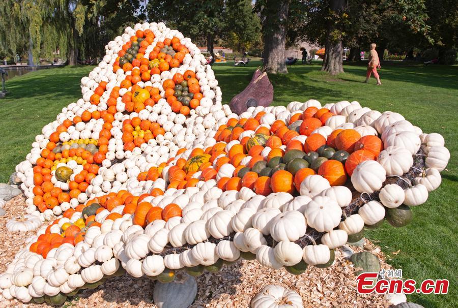 A visitor walks behind a sculpture displaying a butterfly during the autumn exhibition \'Flying\' at the horticultural exhibition \'ega\' (Erfurt Garden Construction Exhibition) in Erfurt, Germany, Wednesday, Sept. 5, 2018. Gardeners created different sculptures with thousands of pumpkins. The exhibition started on Sept. 2, 2018 and last until Oct. 31, 2018. (Photo/Agencies)